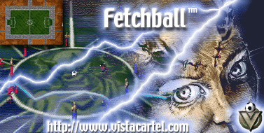 Fetchball